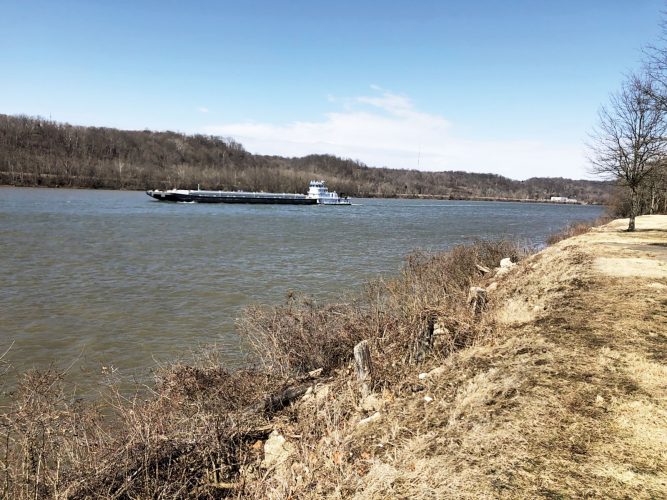 Vienna plans kayak launches News, Sports, Jobs Marietta Times